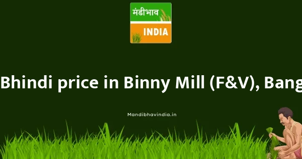 Bhindi price